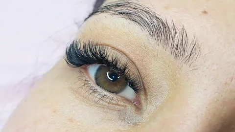 Close up of eye with eyelash extensions ,beauty salon treatment ,2d volume, 3d v Stock Footage 317742919