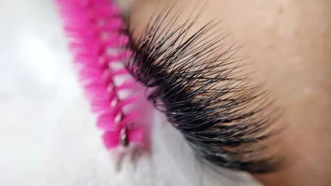 Close up of eye with eyelash extensions ,beauty salon treatment Stock Photos