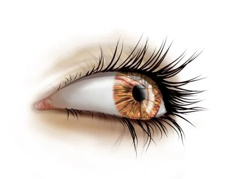 Close up of eye with long lashes Illustrazione stock