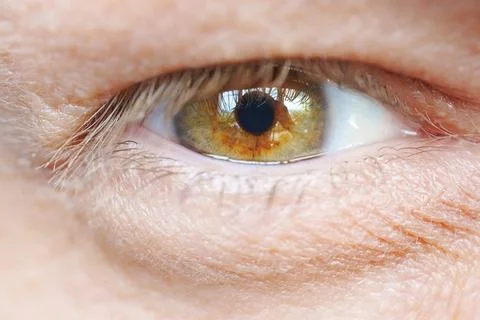 Close-up. The eye of a middle-aged man. Stock Photos