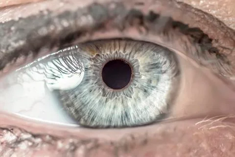 Close up of an eye Foto stock