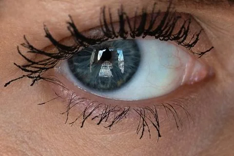 Close-up of the eye shot on a macro lens Photos