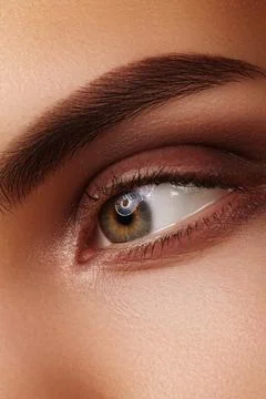 Close-up of eye with soft brown makeup and perfectly shaped eyebrow, smooth Stock Photos