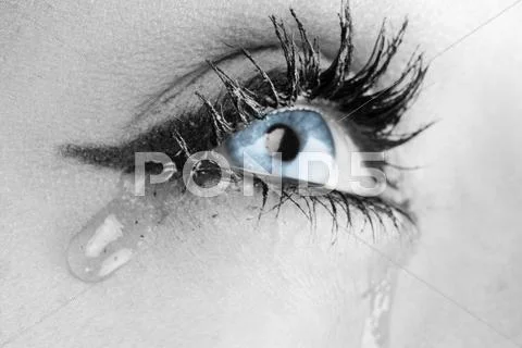 Close up on the eyes of a young woman Stock Photos