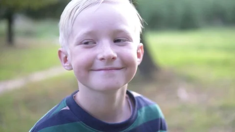 Close-up face of a beautiful blond boy at sunset Stock Footage 115645063