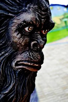 Close-up of face of a manki Stock Photos
