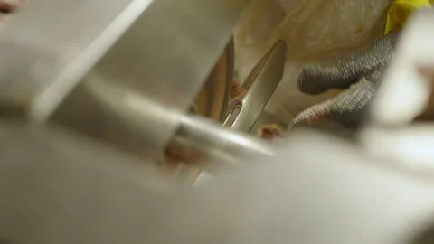 Close Up of Factory Worker Sawing Raw Animal Bone Stock-Footage 339066932