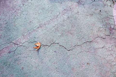 Close-up of a Fallen Autumn Leaf on Cracked Green Pavement Stock Photos
