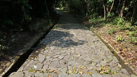Close-up Fallen Leaves Lining a Pathway in City Park Foto stock