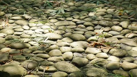 Close-up Fallen Leaves Lining a Pathway in City Park Stock Photos