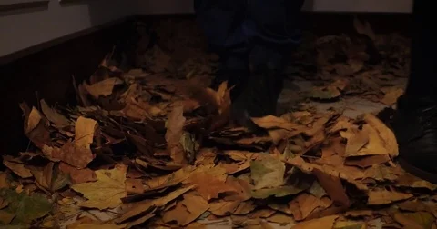 Close up on falling autumn leaves Stockbeeldmateriaal 79958394