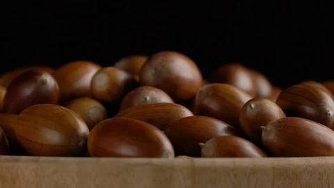 Close-up falling of oak acorns on black background Stock Footage 116218118