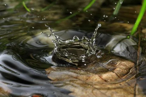 Close-up of a falling rain drop Stock Photos