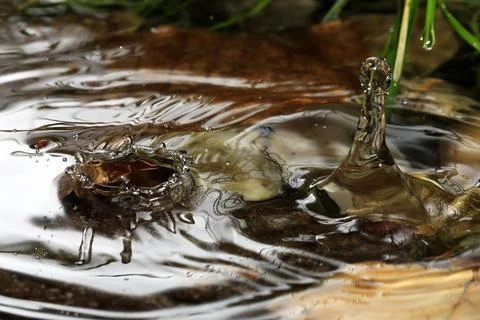 Close-up of a falling rain drop Stock Photos
