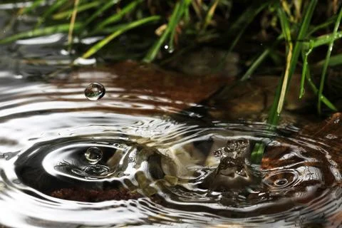 Close-up of a falling rain drop Stock Photos