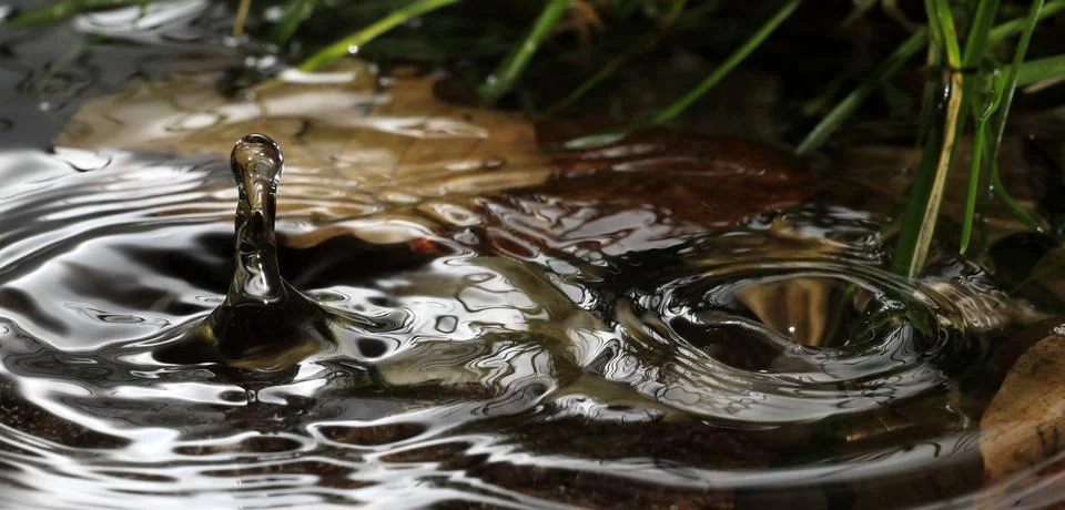 Close-up of a falling rain drop Stock Photos