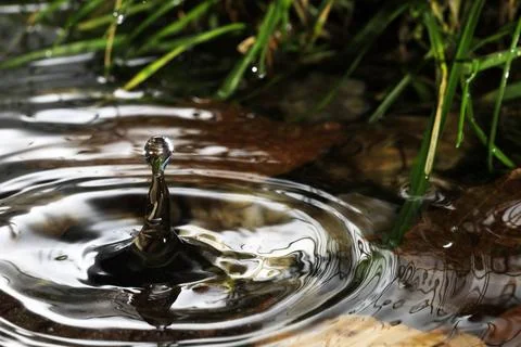 Close-up of a falling rain drop Stock Photos