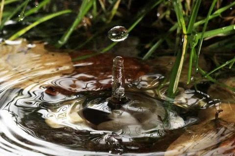 Close-up of a falling rain drop Stockfoto's