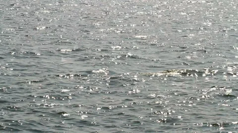 Close up the falling rain on floor. Stock Footage 29809010