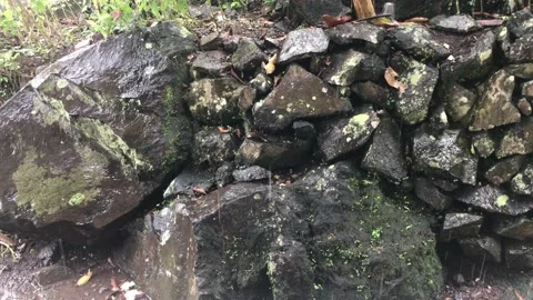 Close Up of Falling Rain With Water Drops On Rock In 4K. Stock Footage 205186330