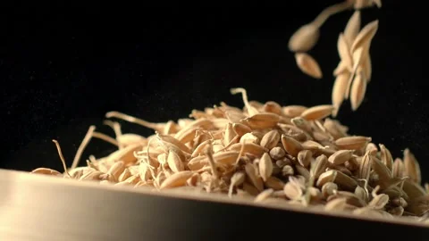 Close-up of falling rice Stock Footage 234116791