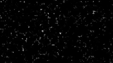 Close-up of falling snowflakes in winter night scene Vídeo Stock 342022876