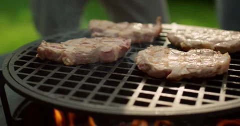Close-up of falling tasty beef steak hamburg backyard Barbecue Stock Footage 336576313