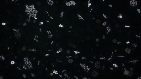 Close up of falling white snowflake Stock Footage 98516725