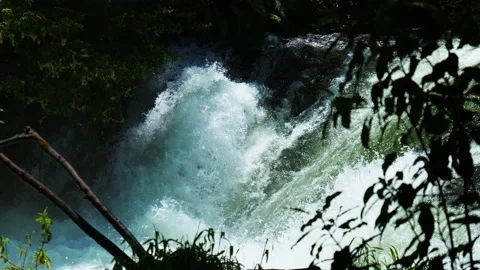Close up of falls through bush Stock Footage 229076278