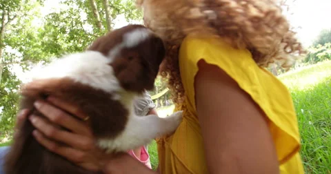 Close up of family enjoying new adorable fluffy border collie Stock Footage