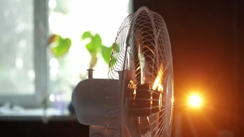 Close-up of a fan with bright sunlight shining through the blades Stock Footage 340268596