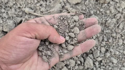 Close Up Of Farmer Hand Holding Dry Loose Soil Testing Quality In Ploughed Field Stock Footage 341907840