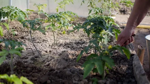 Close up of farmer hands with gardening tools Видео 137954679