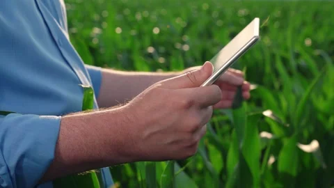 Close-up of a farmer holding a digital tablet. Farmer man working as an Stock Footage 307797001