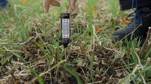 Close-up of a farmer inserting a measuring device into the ground to measure the Stock Footage 165627822