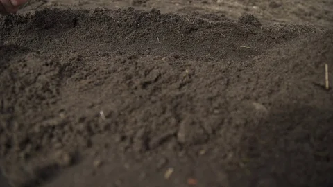 Close-up of a farmer sowing seeds Stock Footage 75962155