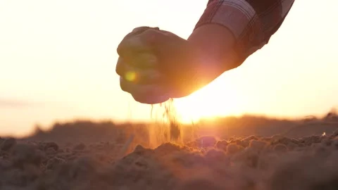 Close Up Of Farmer Taking Dusty Ground With His Hand At Sunset In Rural Field Stock Footage 252185929