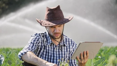 Close-up of farmer using digital tablet during monitoring his plantation. Stock Footage 100108501