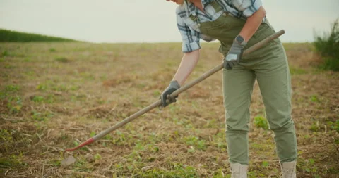 Close-Up of Farmer Using Hoe in Field Stock Footage 282448179
