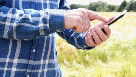 Close Up Of Farmer Using Mobile Phone Standing In Field Of Wheat Stock Footage 93427875