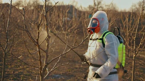 Close-up of a farmer who sprays a tree in a spring garden. Stock Footage 229619489
