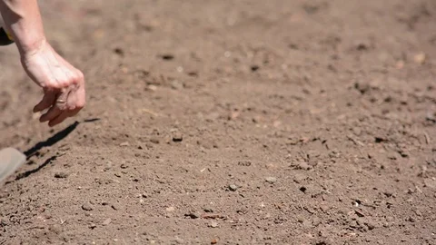 Close-up of a farmer's hand making grooves for planting Stock Footage 76765486
