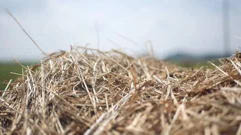 Close-up of a farmer's hand touching a haystack, checking its quality. slow Stock Footage 98937335