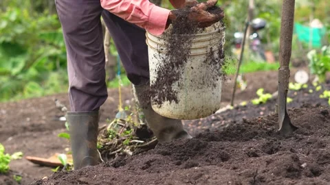 Close-Up of Farmers Hands Adding Organic Fertilizer to the Soil Stock Footage 284249005