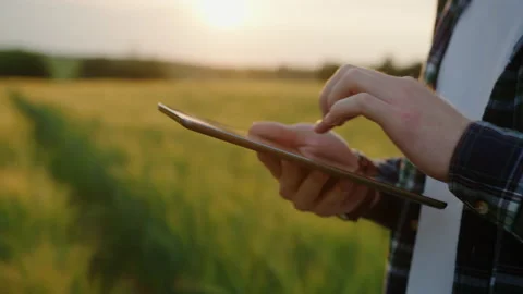 Close-up of a farmer's hands typing on a tablet at sunset in a field Stock Footage 201484144