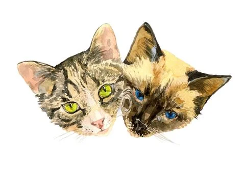 Close up fashionable portrait of two cute cats Stock Illustration