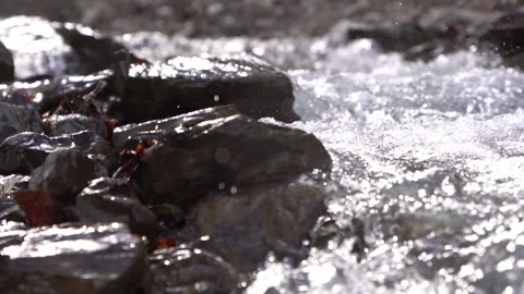 Close-Up of Fast Flowing River. Slow Motion Water Flow Video stock 303655590