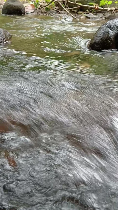 Close-Up of Fast Flowing Stream Water Over Rocky Surface Stock Footage 330332097