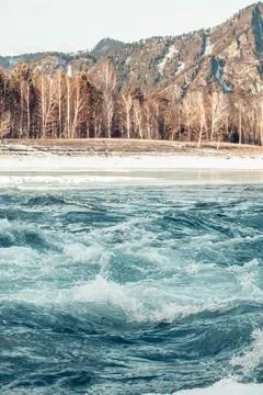 Close up of fast mountain river with waves and splashes, snowy bank with birch Foto stock