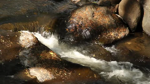 Close-up fast-moving water flows over rocks in a stream Stock Footage 272346982